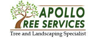 Apollo Paving & Landscaping Services logo